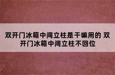 双开门冰箱中间立柱是干嘛用的 双开门冰箱中间立柱不回位